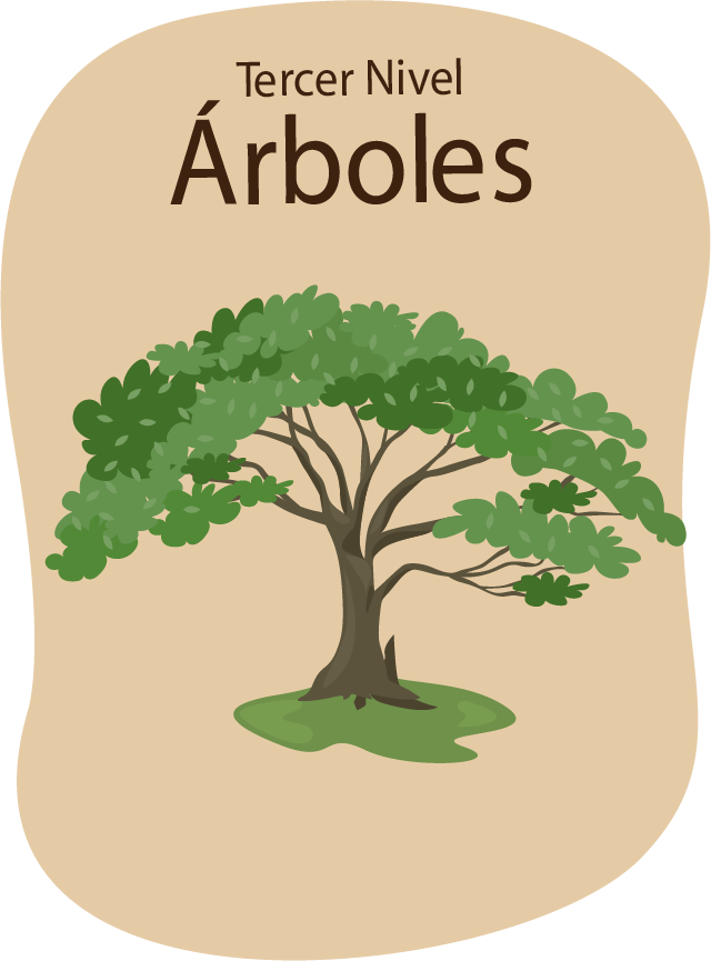 arboles