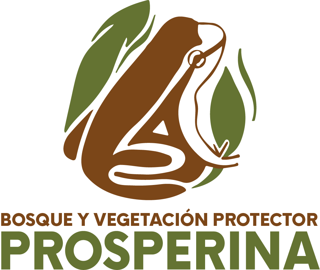 Logo-BVPP